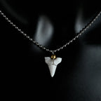 Hawaiian Surfer Shark Tooth Choker Necklace — Stainless Steel