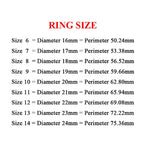 Roman Numeral Ring — 6mm Stainless Steel