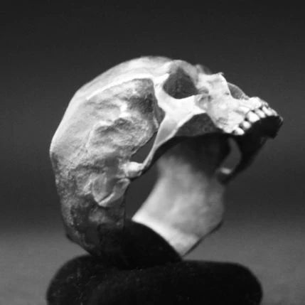 Wholesale Men's Calvarium Skull Ring Gothic 316L Stainless Steel Biker Ring Motorcycle Band jewellery Party Gift