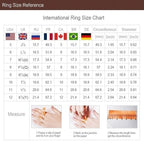 Signet ring male  Vivid big gold lion head man black ring two-color luxury ring punk ring man  angel and devil ring
