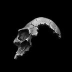 Skull Pendant Necklace — Gothic