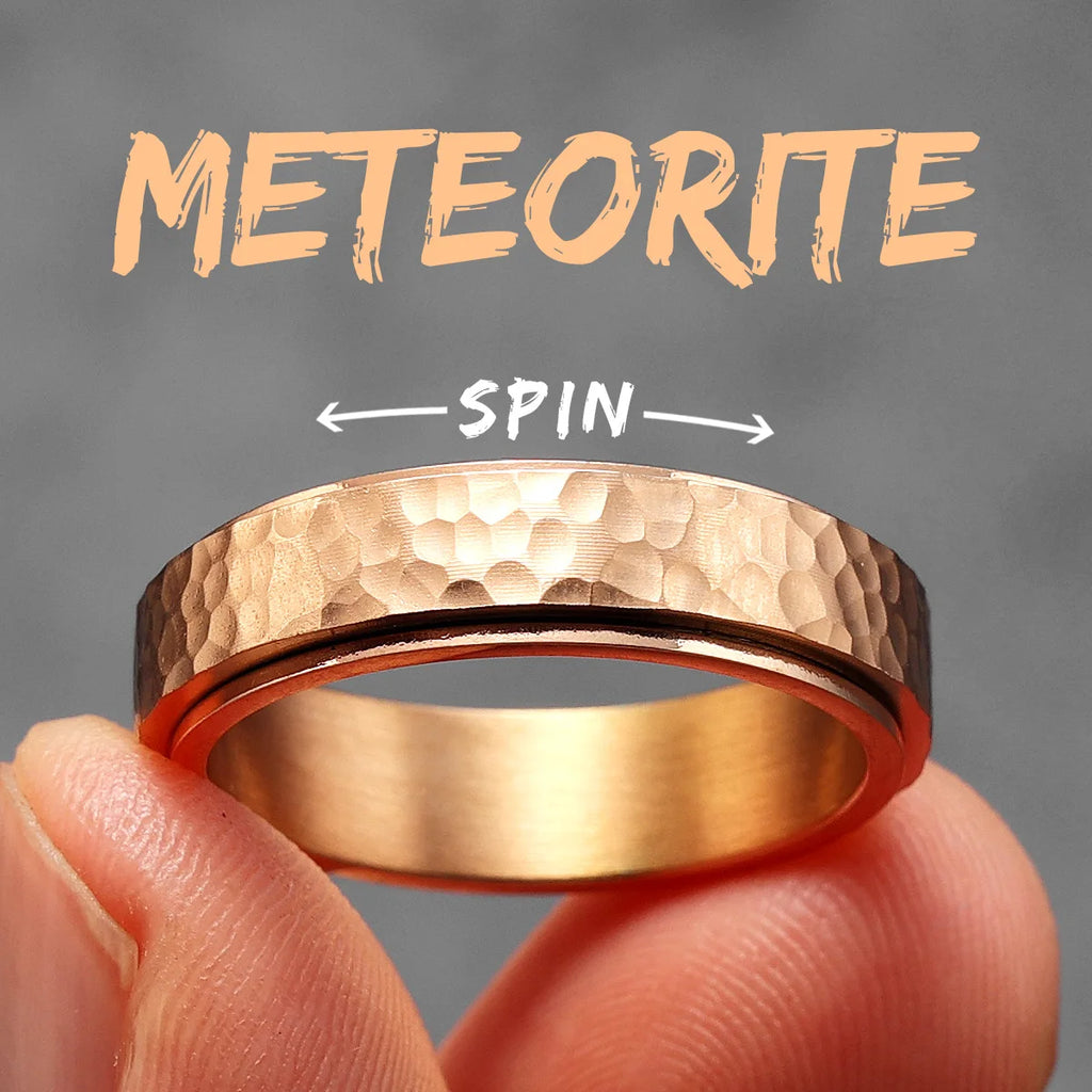 Meteorite Fidget Spinner Ring — Stainless Steel