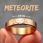 Meteorite Fidget Spinner Ring — Stainless Steel