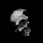Skull Pendant Necklace — Gothic