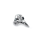 Skull Raven Steel Ring