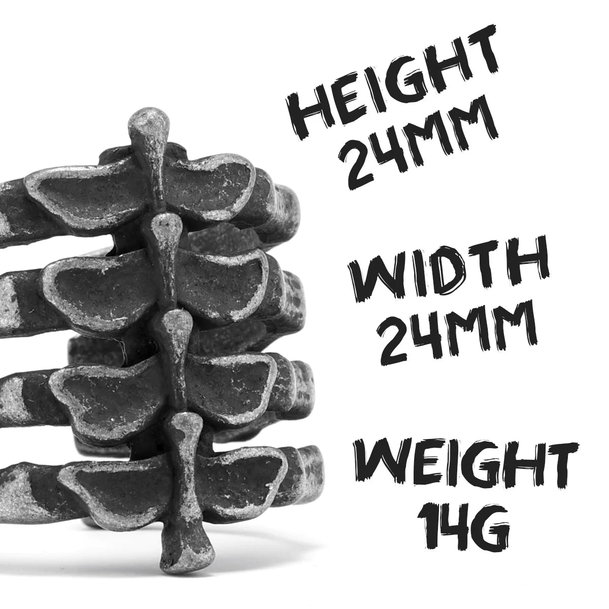 Spine Ring — Stainless Steel