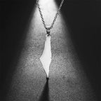 My Shape Palestine Arabic Pendant Necklaces for Women Men Country Geographic Charms Chain Choker Fashion Stainless Steel Jewelry