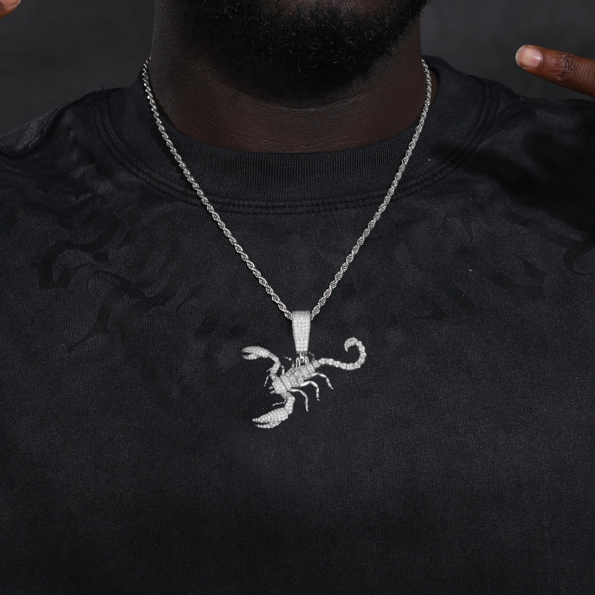 Scorpion Pendant Necklace — 20in Rope Chain Length