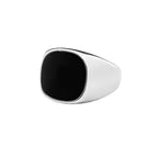 Vinyl Ring — Stainless Steel