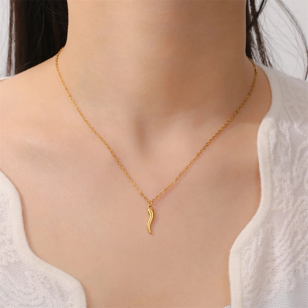 Italian Horn Amulet Pendant Necklace — Steel
