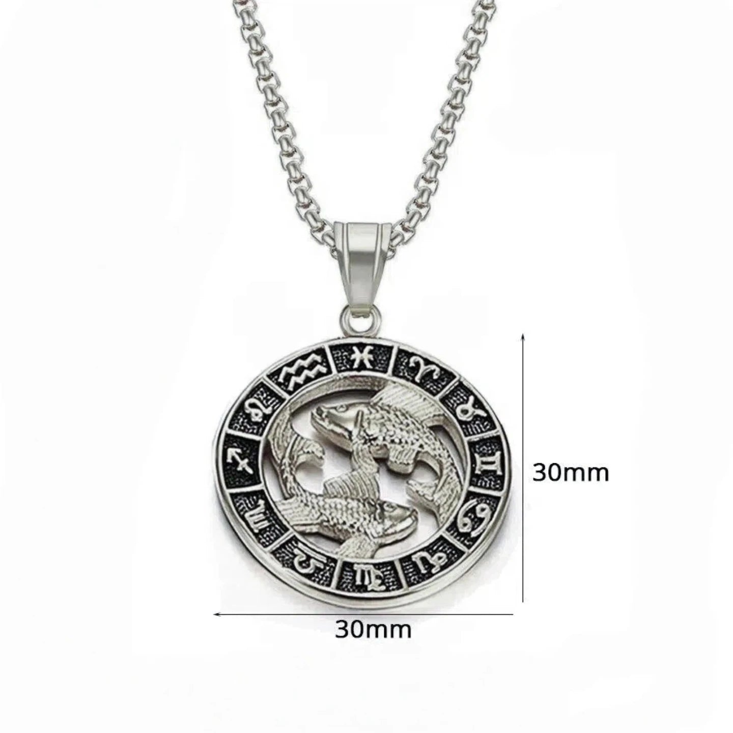 Zodiac Dragon Stainless Steel Pendant Necklace