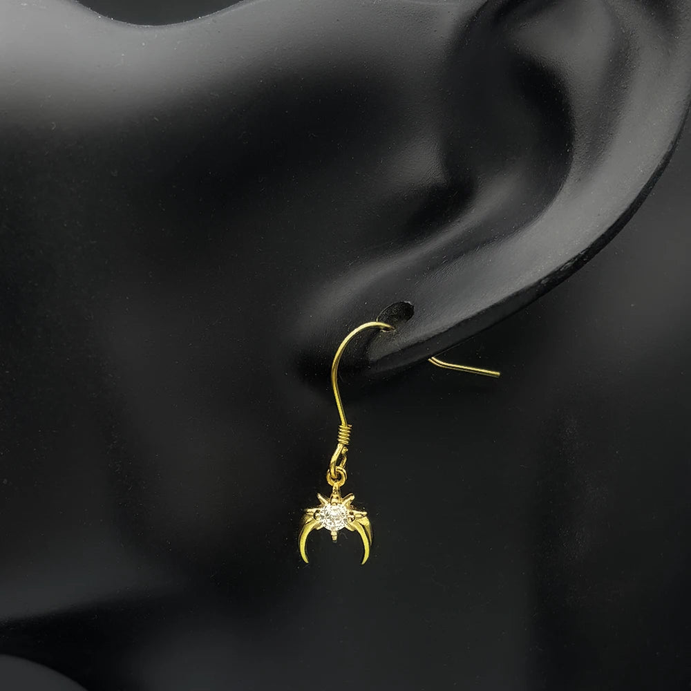 Star Moon Two-Tone Earrings Sterling Zircon Crescent