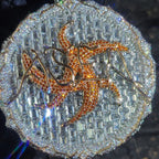 Iced Out Pendant Necklace Colorful Zircon Disc