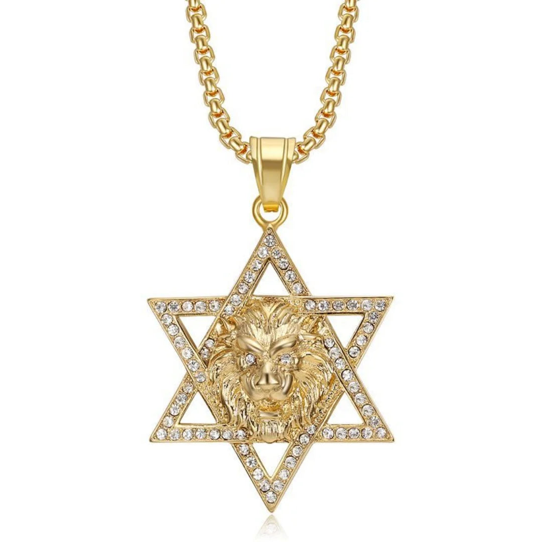 Religious Hexagram Star of David Lion's Head Zirconia Pendant Gold Color Stainless Steel Necklace for Woman Man Jewish Jewelry