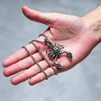 Gothic Retro Scorpion Pendant Necklace Punk Hip Hop Animal Insect Scorpion Stainless Steel Biker Necklace Men Jewelry