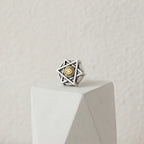 Stainless Steel Magnetic Stud Earrings Minimal