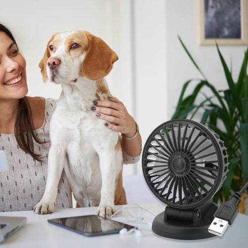 Car Air Cooler — 5/12/24V, 2 Speeds