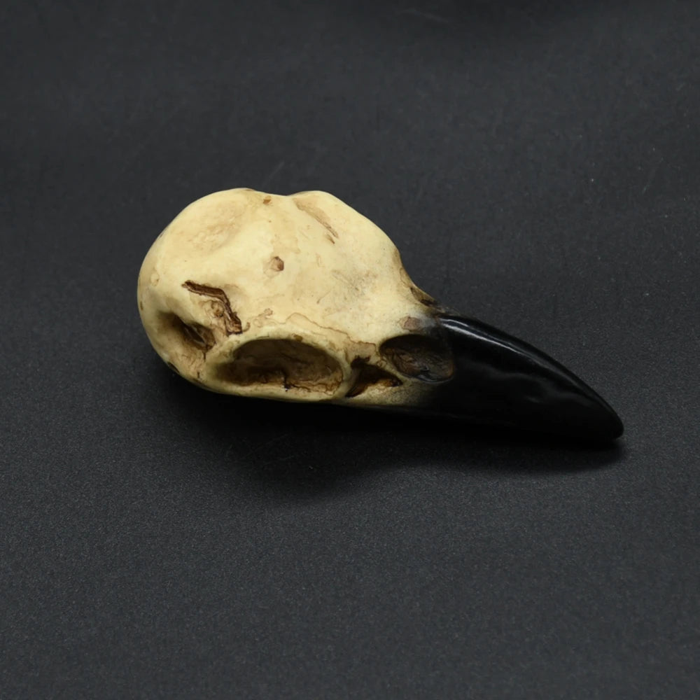 Punk Viking amulet Crow Skull Pendant Vintage Nordic Mens Necklace Biker Amulet Jewelry Gift Dropshipping