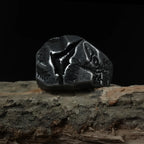 Cracked Fossil Retro Punk Biker Ring — Stainless Steel