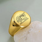 Iran Lion and Sun Finger Ring Stainless Steel Custom Ring for Men Women Laser Engraving Rings Persian Souvenir Series