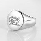 Iran Lion and Sun Finger Ring Stainless Steel Custom Ring for Men Women Laser Engraving Rings Persian Souvenir Series