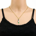 Palestine Map Pendant Necklace — Stainless Steel