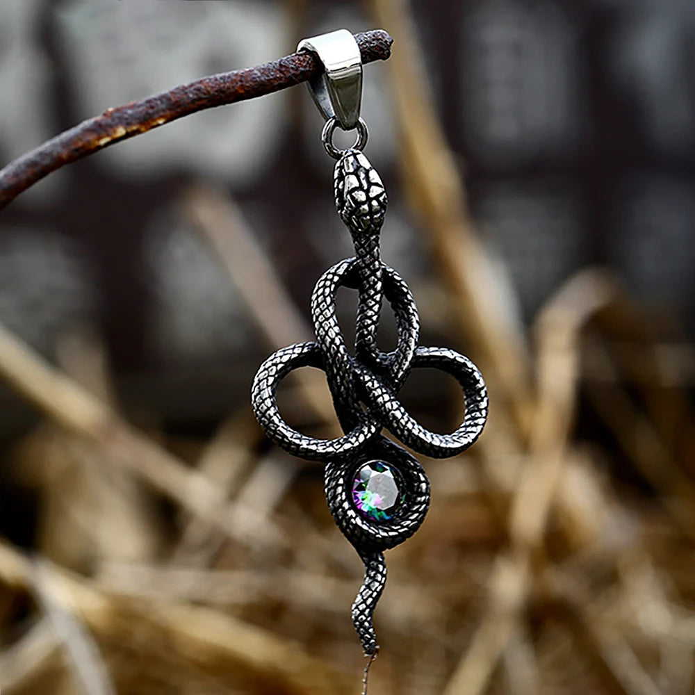 Vintage Snake Pendant Necklace for Men Fashion Punk Stainless Steel Gothic Animal Biker Necklace Jewelry Gift Dropshipping