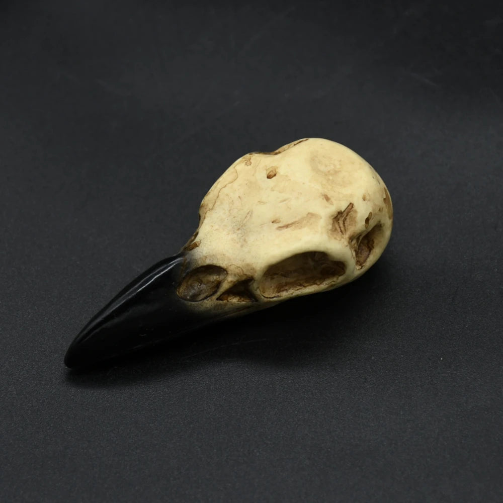 Punk Viking amulet Crow Skull Pendant Vintage Nordic Mens Necklace Biker Amulet Jewelry Gift Dropshipping