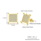Iced Out Zircon Stud Earrings — Two-Tone