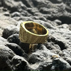 Viking Black Stone Vintage 316L Stainless Steel Ring Snake Pattern Gold Color Unisex Punk Gift For Men Classic Jewelry