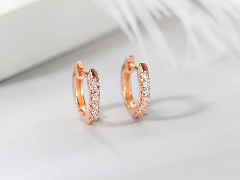 Iced Out Hoop Earrings Stainless Steel CZ