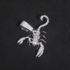 Scorpion Pendant Necklace — 20in Rope Chain Length