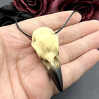 3D Raven Skull Necklace Resin Replica Raven Magpie Crow Poe Gothic Gift,Halloween Raven Skull Necklace,Goth Bird Skull Jewelry