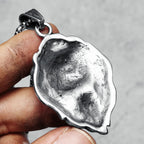 Wild Lion King Pendant Necklace — Stainless Steel