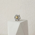 Stainless Steel Magnetic Stud Earrings Minimal