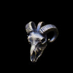 1 Piece of New Simple Trendy Skull Plate Goat Skull Pendant Necklace Punk Retro Men and Women Couple Pendant Jewelry Wholesale