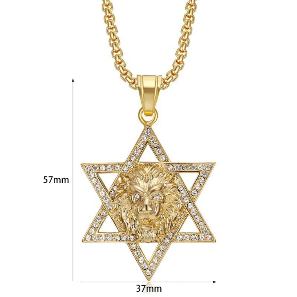 Religious Hexagram Star of David Lion's Head Zirconia Pendant Gold Color Stainless Steel Necklace for Woman Man Jewish Jewelry