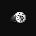 Luxury Felled Serpent Men Women Ring Stainless Steel Silver Plated Jewelry Anel Masculino Decoration Couple Gift Anillo