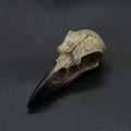 Punk Viking amulet Crow Skull Pendant Vintage Nordic Mens Necklace Biker Amulet Jewelry Gift Dropshipping