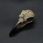 Punk Viking amulet Crow Skull Pendant Vintage Nordic Mens Necklace Biker Amulet Jewelry Gift Dropshipping